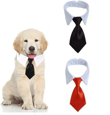 Produktbild von Halsband für Hunde und Katzen, zweiteiliges, anpassbar und waschbar, Größe L, Schwarz und Rot.