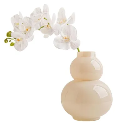 Productafbeelding van Glazen Vaas voor Bloemen en Decoratie