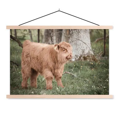 Produktbild von MuchoWow® Textilposter Schottischer Highlander - Licht - Wald 120x80 cm mit holzfarbenen Rahmen - Aufhängeset