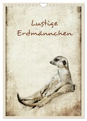 Produktbild von Lustige Erdmännchen (Wandkalender 2027 DIN A4 hoch), CALVENDO Monatskalender