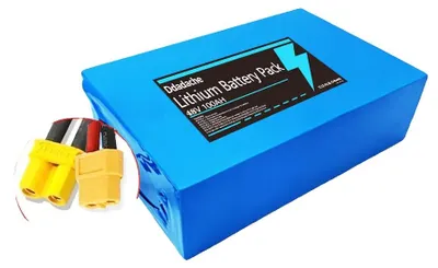 Image de Batterie lithium-ion, 48V, capacité de 100Ah, chargeur XT30-XT60