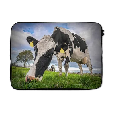Produktbild von MuchoWow® Laptop Hülle 14 ZollKühe - Tags - Tiere Laptoptasche - Laptoptasche - Stoßsicher - Schutzhaube
