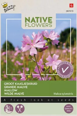 Produktbild von Wilde Malve | Malvensamen von Buzzy Seeds