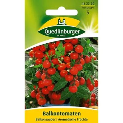 Produktbild von Tomate Balkonzauber | Tomatensamen von Quedlinburger