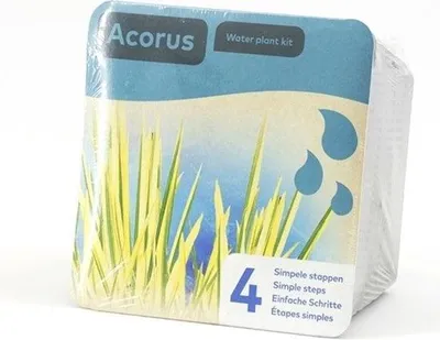 Productafbeelding van Moerings Droogverpakking Vijverplant Acorus