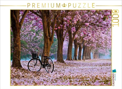 Produktbild von CALVENDO Puzzle Fahrrad im Park | 1000 Teile Lege-Größe 64x48cm Foto-Puzzle für glückliche Stunden