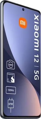 Obrázek produktu pro Xiaomi 12 256 GB Dual-Sim Šedá Neu