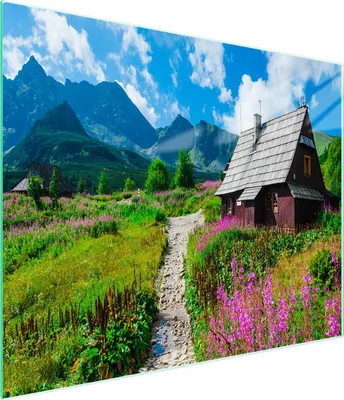 Obrázok produktu pre Sklenená doska na krájanie 52x30