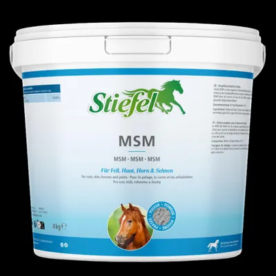 Imagen del producto de Stiefel MSM, 4 kg