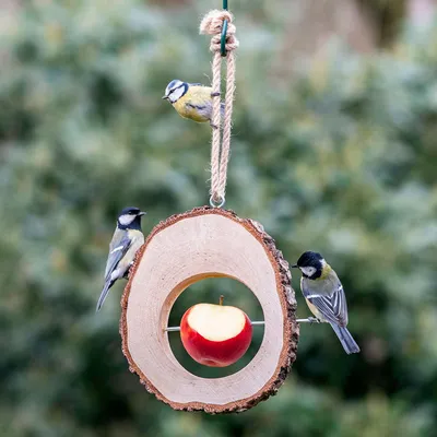 Produktbild von CJ Wildlife Vogelhaus zum Aufhängen - Apfel-Futterhaus Columbus - Birke ( 100%) - Braun - für Gartenvögel - einfach befüllen - für Einsteiger