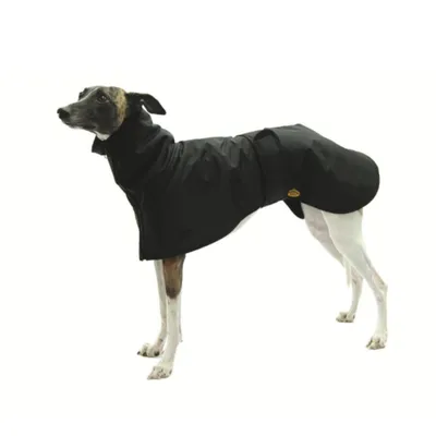 Produktbild von Fashion Dog eleganter Hundemantel speziell für Windhunde - Schwarz - 51 cm