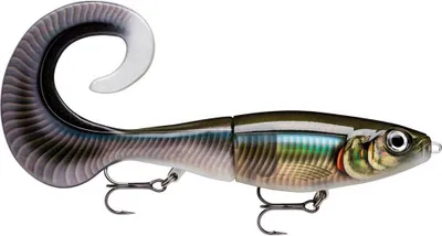 Obrázek produktu pro Rapala X-Rap Otus 25 cm - Smelt On The Beach