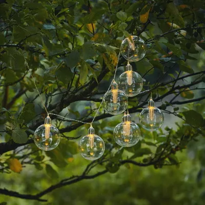 A string of clear, round LED lights with warm white bulbs hangs from tree branches.