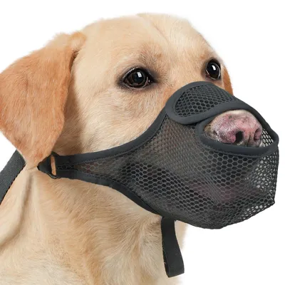 Produktbild von Atmungsaktiver Nylon Maulkorb für Hunde, Große Größe