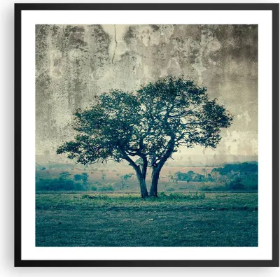Produktbild von Gerahmtes Poster - Schwarzer Rahmen - Baum Natur Feld - 60x60 cm - Wand Bild - Wanddeko - Wandbilder - Kunstposter - Wandposter - Bilderrahmen - Bilder - Kunstdruck - Wandbild - P2BAC60x60-3627