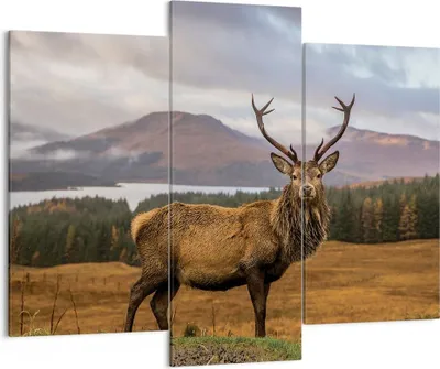 Produktbild von Bild auf Leinwand - Leinwandbild - 3 Teile - Rehe Wiese Berge - 130x100cm - Wand Bild - Wanddeko - Wandbilder - Leinwanddruck - Bilder - Wanddekoration - Leinwand bilder - Wandbild - CB130x100-4231