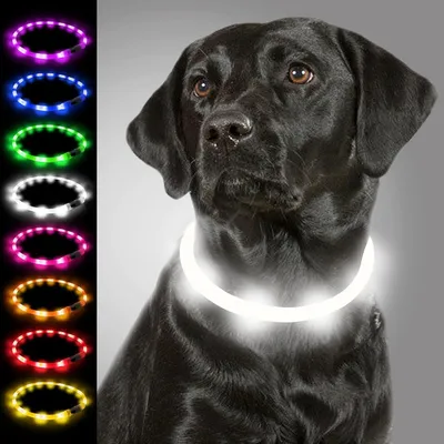 Productafbeelding van Lichtgevende hondenhalsband - oplaadbare LED-halsband via USB-C - siliconen en op maat te knippen