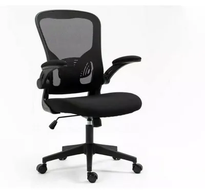 Image de Fauteuil de bureau "Q-333" - Noir - l 65 x H 100 cm