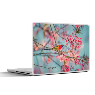 Produktbild von MuchoWow® Laptop Aufkleber Sticker Cover Vogel - Blüte - Rosa 25x18 cm - Laptop-Deko