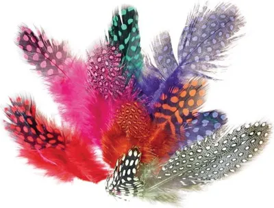 Produktbild von 200 Stück bunte Perlhuhnfedern, Naturfedern zum Basteln & Dekorieren, 2-15 cm