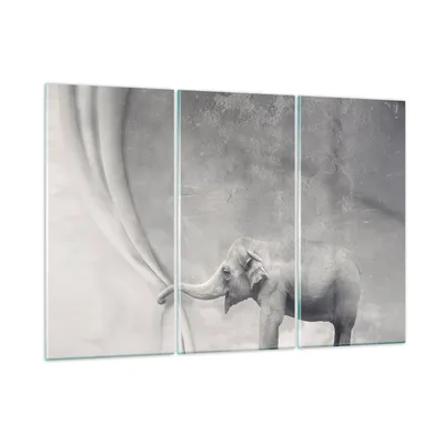 Produktbild von Bilder auf glas - Elefant Vorhang Abstraktion Phantasie - 105x70cm - Glasbilder - Wandbilder - Kunstdruck - Wanddekoration aus Glas - Glas Bilder - Wandbild auf Glas - GCE105x70-3011