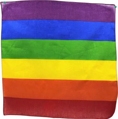 Immagine prodotto di Pride - Sciarpa Lgbt 50 X 50