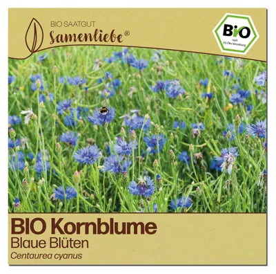 Produktbild von Samenliebe  Kornblume Samen | Blaue Blüten - zweijährig - samenfestes  Saatgut