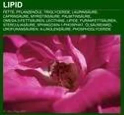 Produktbild von Lipid