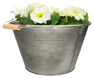 Produktbild von Mega Collections Eimer/Pflanztopf - Zink - D32 x H18 cm