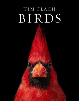 Obrázek produktu pro Birds
