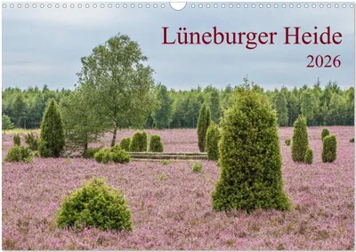 Produktbild von Lüneburger Heide (Wandkalender 2026 DIN A3 quer), CALVENDO Monatskalender
