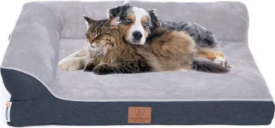 A cat and a dog are resting together on a pet bed.