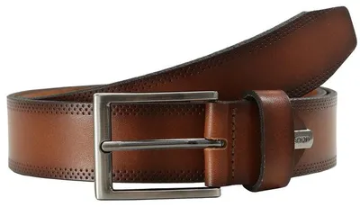 Produktbild von Arthur Schaper Vertriebs GmbH Herreng³rtel 44 44 110