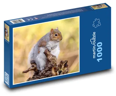 Zdjęcie produktu dla Puzzle 1000 Wiewiórka na pniu w lesie - martinpuzzle