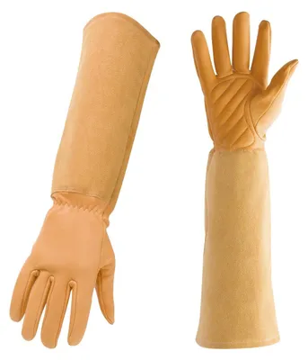 Productafbeelding van Lange Tuinhandschoenen voor Bescherming tegen Doorns