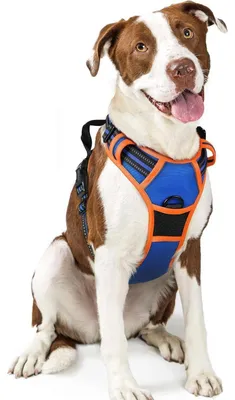 Image de Harnais pour chien anti-traction, réglable, respirant, avec réflecteurs, bleu et orange, taille L