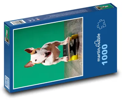 Obrázek produktu pro martinpuzzle - Puzzle 1000 - Pes na skateboardu