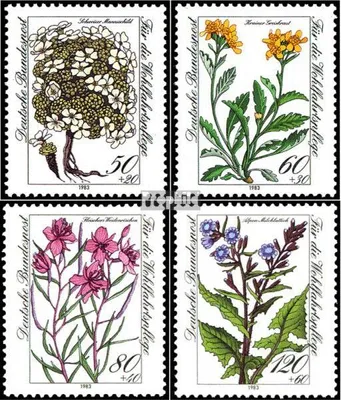 Produktbild von Briefmarken BRD (BR.Deutschland) 1983 Mi 1188-1191 (kompl.Ausgabe) postfrisch Gefährdete Alpenblumen