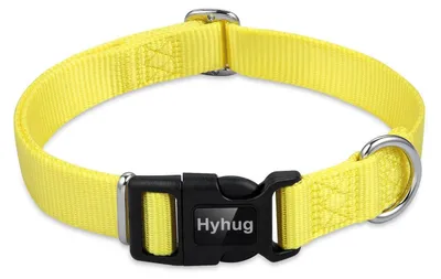 Produktbild von Hundehalsband leuchtendes Gelb verstellbar für mittlere Hunde