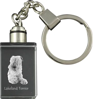 Immagine prodotto di Art-Dog Portachiavi – Terrier Lakeland