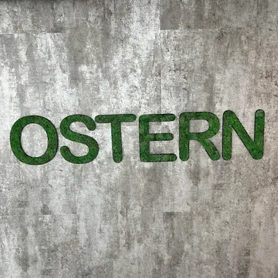 Produktbild von Islandmoos – Set OSTERN Grasgrün