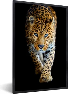 Produktbild von MuchoWow® Gerahmtes Poster Leopard - Tiere - Porträt - Wildtiere - Schwarz 20x30 cm - Poster mit Schwarzem Bilderrahmen Wandposter Rahmen Foto Bilder - Drucken - Bilder Poster im Rahmen