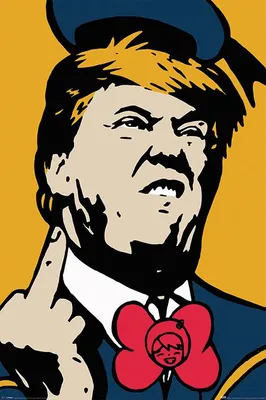 Obrázek produktu pro TVBOY – Angry Donald – 61 x 91,5 cm – Plakát