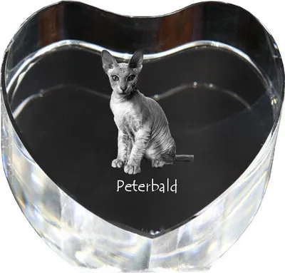 Produktbild von Peterbald - Kristalluhr mit Katzenbild, Herzregal-Uhr, personalisierte Standuhr von Art-Dog.