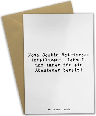 Produktbild von Mr. & Mrs. Panda Grußkarte Spruch Nova Scotia Duck - Weiß - Geschenk, Hunde, Hunderassen Charakter, Vielfalt, Toller, Grußkarten, dankeskarten, Energiebündel, lebhaft