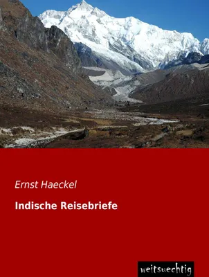 Produktbild von Indische Reisebriefe