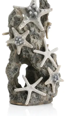 Produktbild von Aquariumdekoration biOrb 46132 Seesternfelsen Ornament für Süßwasser &