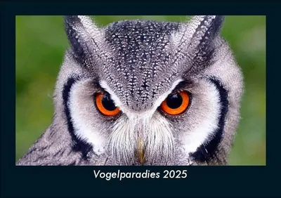 Produktbild von Vogelparadies 2025 Fotokalender DIN A5
