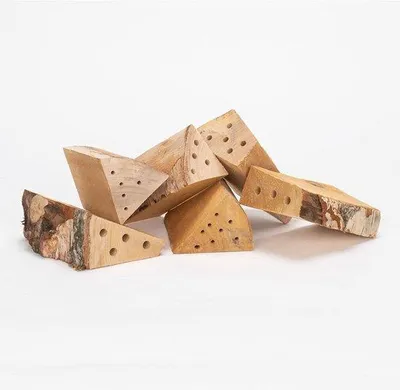 Produktbild von Famanu Nestholz Nachfüllpackung - 6 Stück | Insektenhotel Füllmaterial für Wildbienen