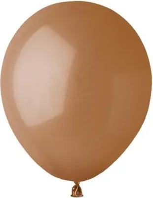 Immagine prodotto di Palloncini A50 Pastello 5 - Caffè 76/100 pz.
